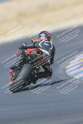 media/May-13-2023-SoCal Trackdays (Sat) [[8a473a8fd1]]/Turn 11 Backside (945am)/